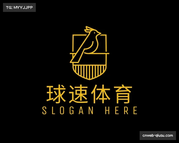 认识球速体育